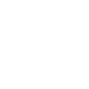 RESEARCH PROJECTSwhite