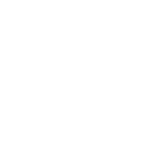 SHIELD WHITE